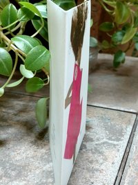 Pink Coral