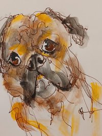 Your Pet's Portrait Created For You