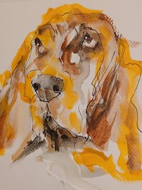 Your Pet's Portrait Created For You