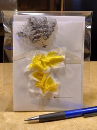 Yellow Silver Haired Delilah 