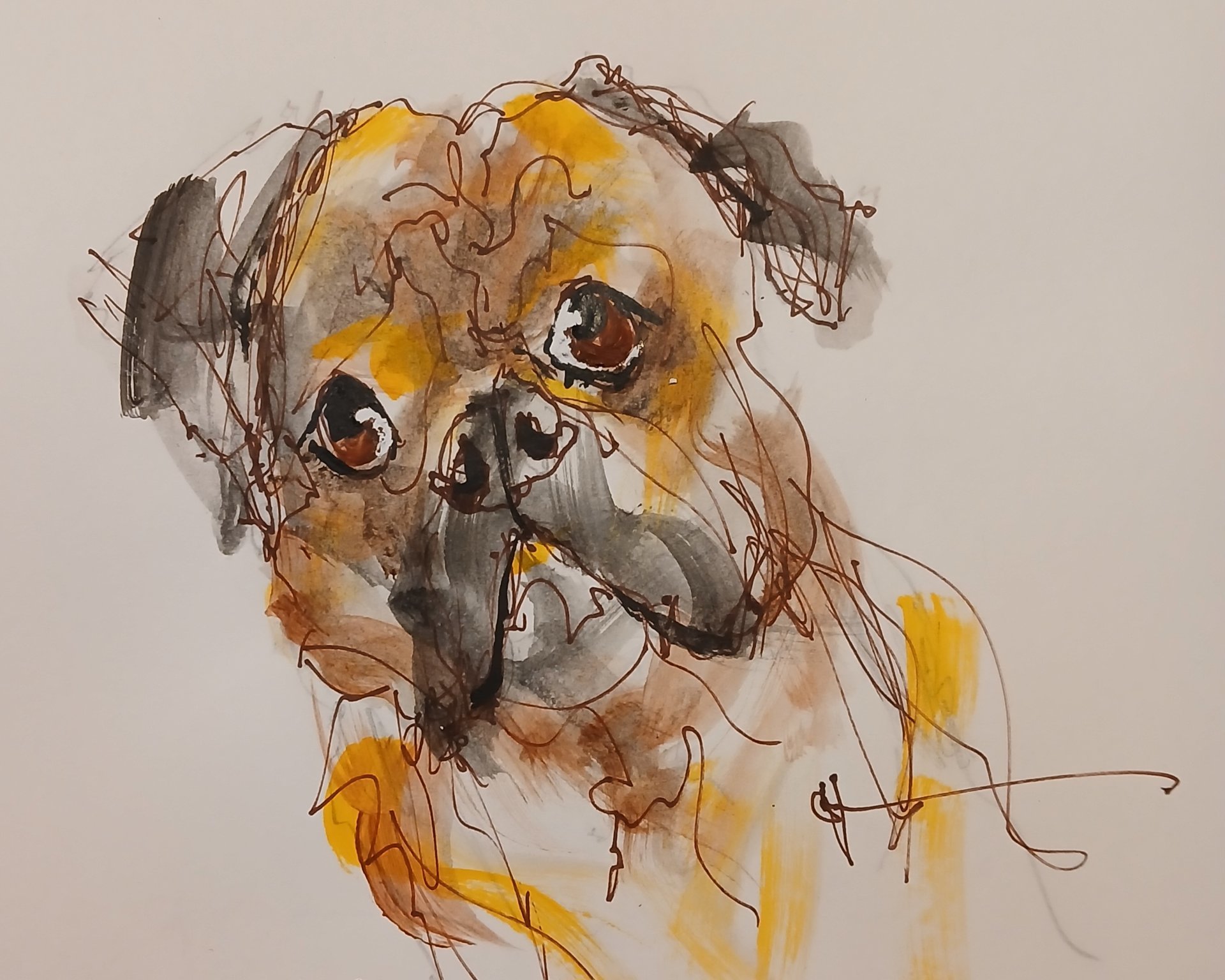 Your Pet's Portrait Created For You