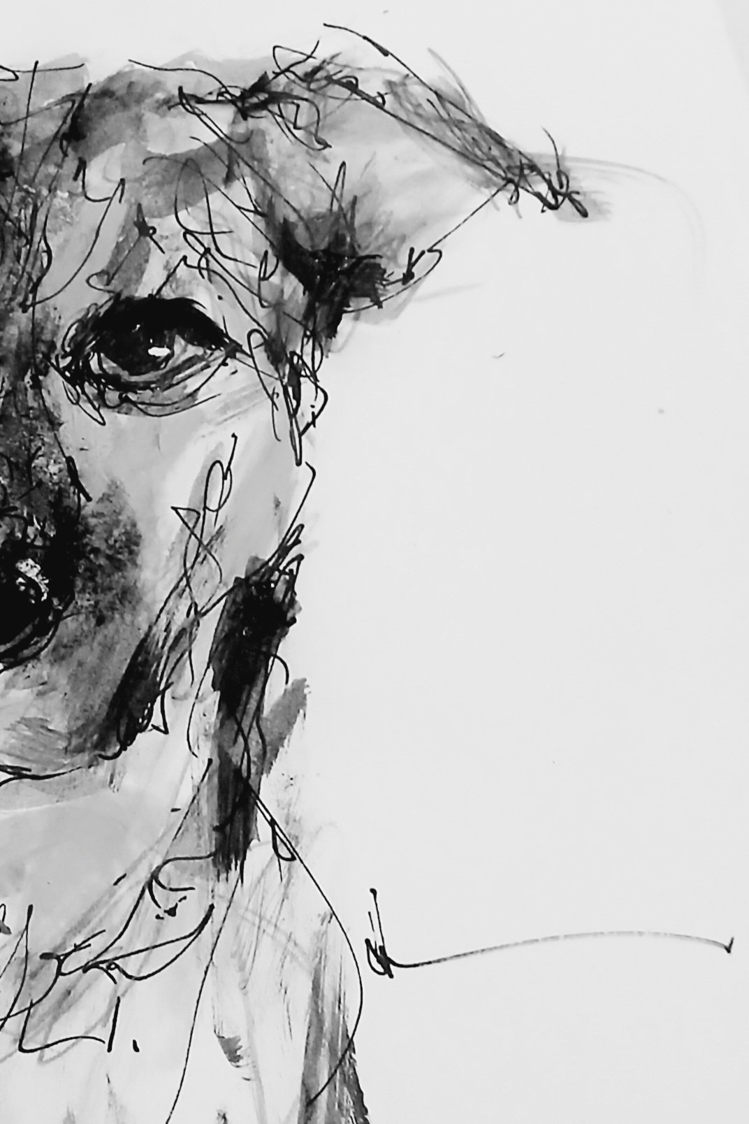 Your Pet's Portrait Created For You