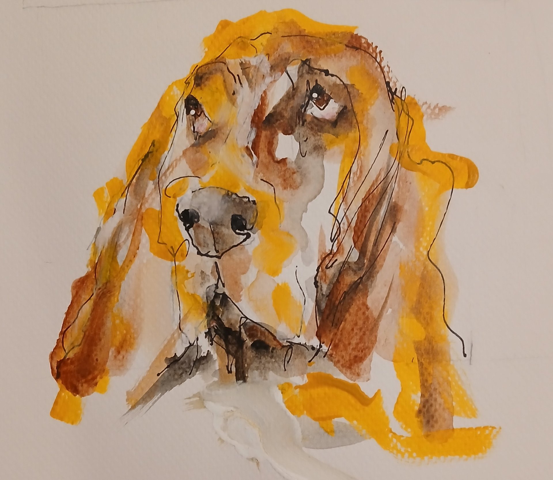 Your Pet's Portrait Created For You